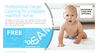 01-ConsumerServices-Carpet&Upholstery-Cleaning-PPC-Shared