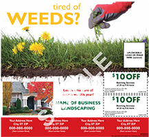 01-ConsumerServices-LawnLandscapingServices-BackCover