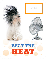 02-ConsumerServices-HeatingAndCooling-ValueSheet